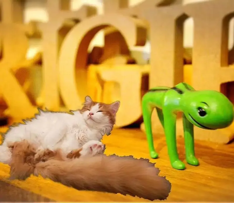 高島平のビアパブ キリギリスで、うしとらとBrewDogのIPAが並ぶ