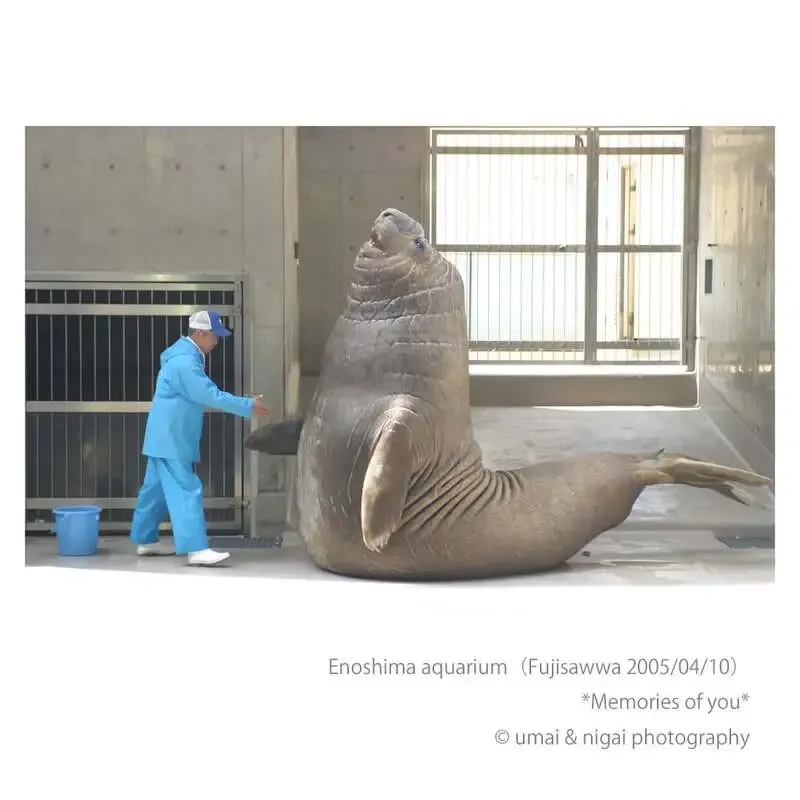 15breweryが4月23日のタップリストを案内　Wheat LandとRaw Hazy IPAを含む5種