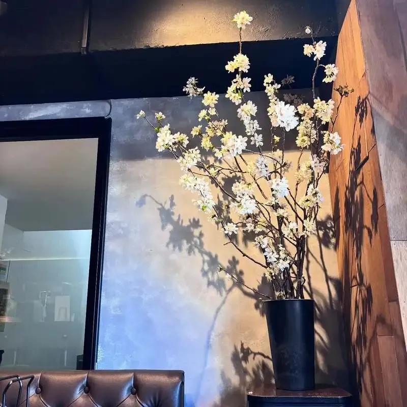 Sakura Taps、4月8日の8タップを更新　吉田町へレスが復活予定