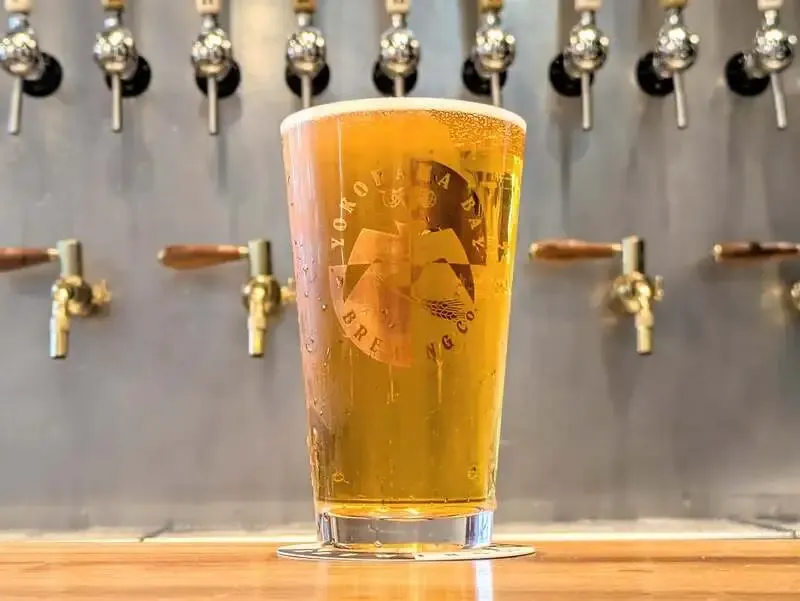 Three new house beers tapped at Yokohama Bay Brewing's Yokohama Front location, with addictive cucumbers and garlic shrimp on the daily menu