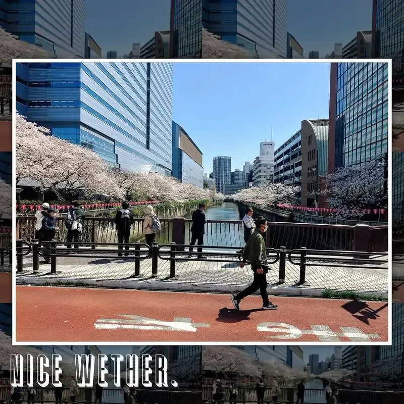 目黒のTHE DODO HOUSE、ワイマーケット「超IPA」開栓の8タップ構成