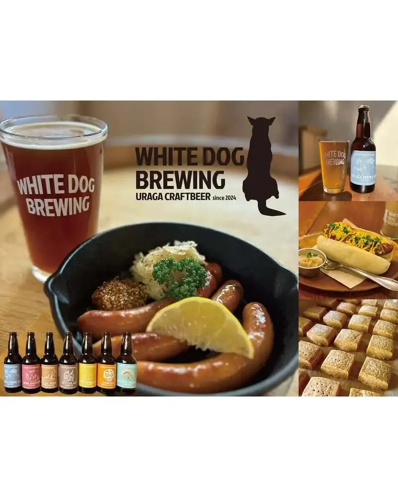 横須賀・浦賀のWHITE DOG BREWING、橘公園BEER PARKに出店