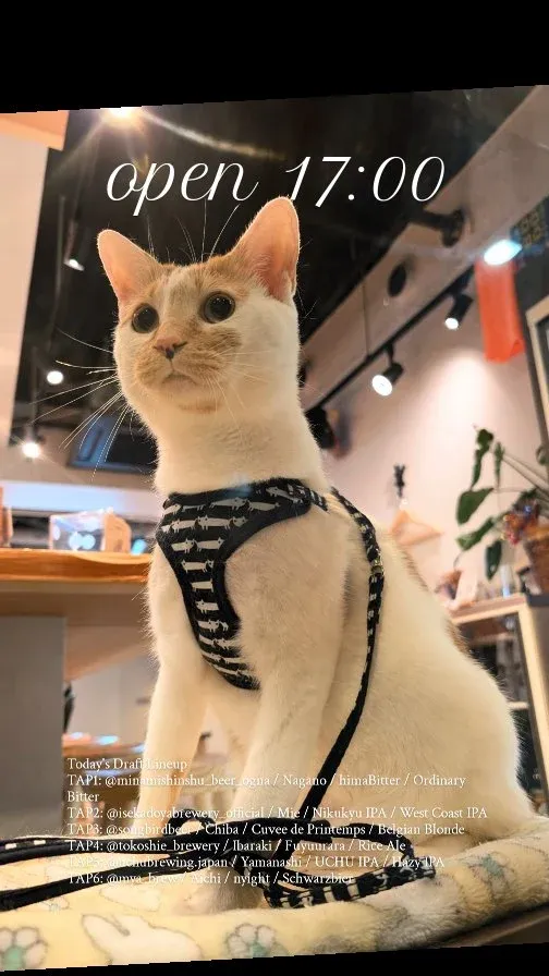 Craft Beer 2むぎ、4月21日のドラフトにOGNAやUCHU IPAなど6樽