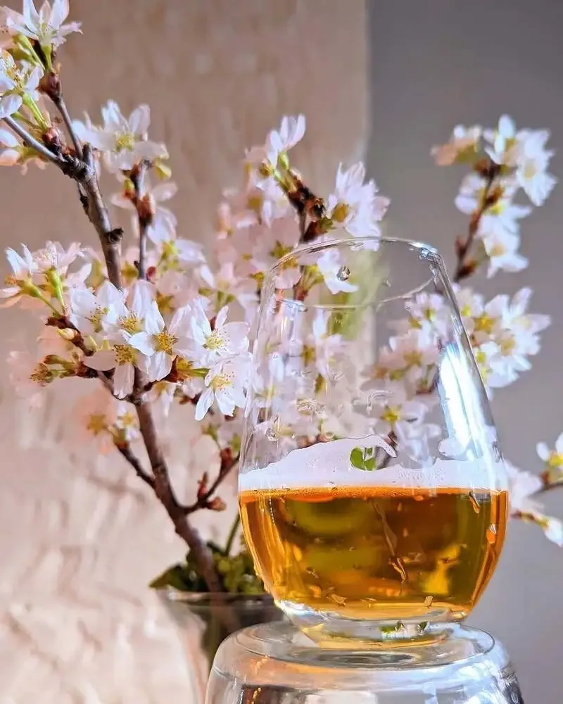 吉祥寺P2B Hausが4月5日限定で10タップを案内、花見向け持ち帰りも