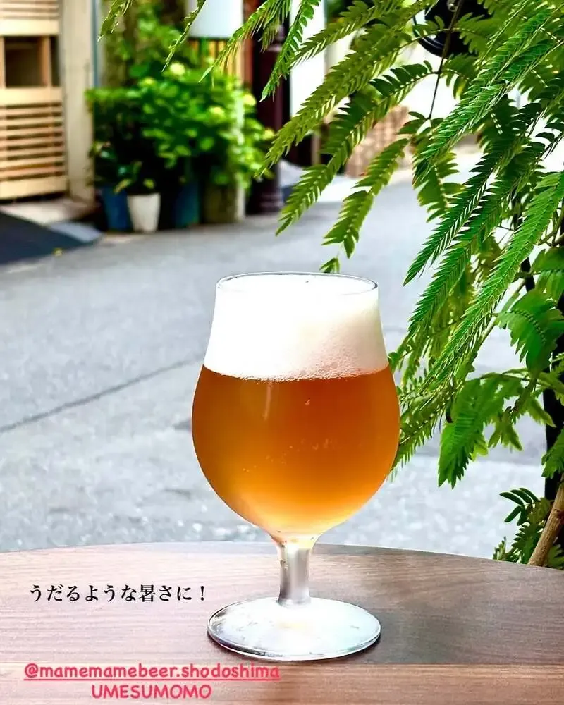高松のTaru Taruで小豆島まめまめビール「UMESUMOMO」を提供