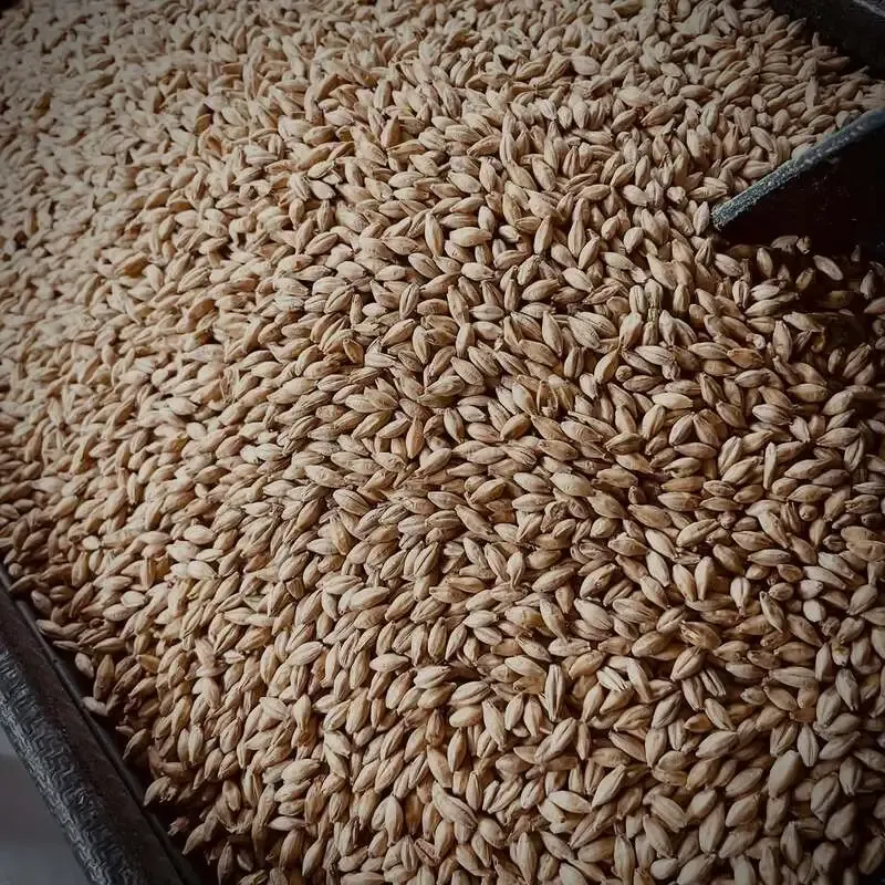 日ノモトブルーイング&ビアスタンド、3月17日は10種タップで営業