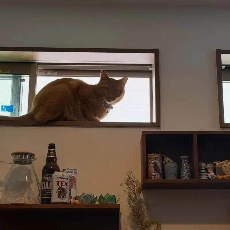 Beer&Cafe Hafen、伊勢角屋麦酒「麦のまにまに」などToday Tapsを案内