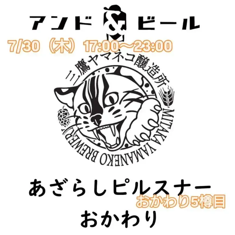 三鷹のBeer Pub ねことあざらし、7月30日タップにあざらしピルスナー再登場
