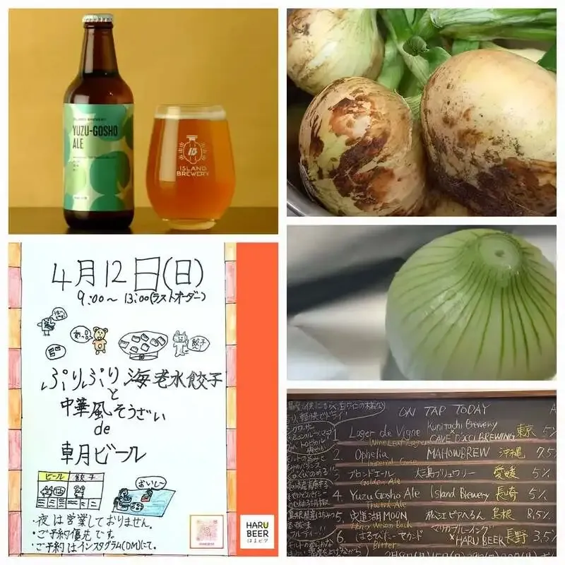 HARU BEER、4月1日営業案内でISLAND BREWERY「YUZU-GOSHO ALE」を紹介