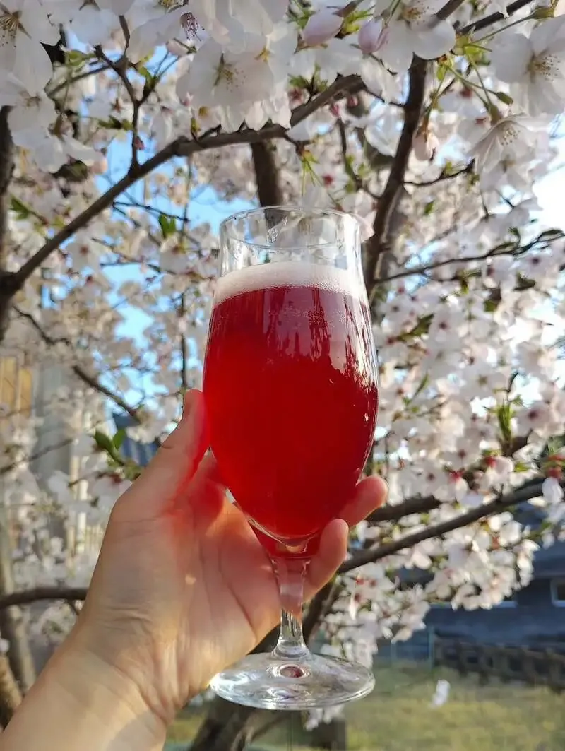 Brewery and Cheese伊能忠次郎商店で小江戸佐原ビール「桜IPA」提供