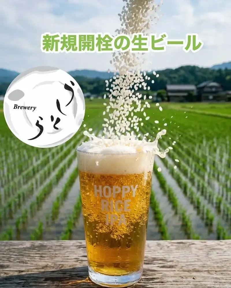 Ushitora Brewery's limited Cold IPA "Kome PA" tapped at taki in Shibuya