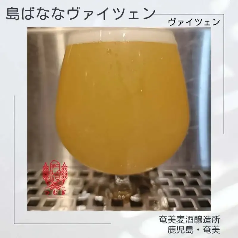 2階のクラフトビール屋つむぎで新規開栓を告知、樽生8種の入れ替わり制