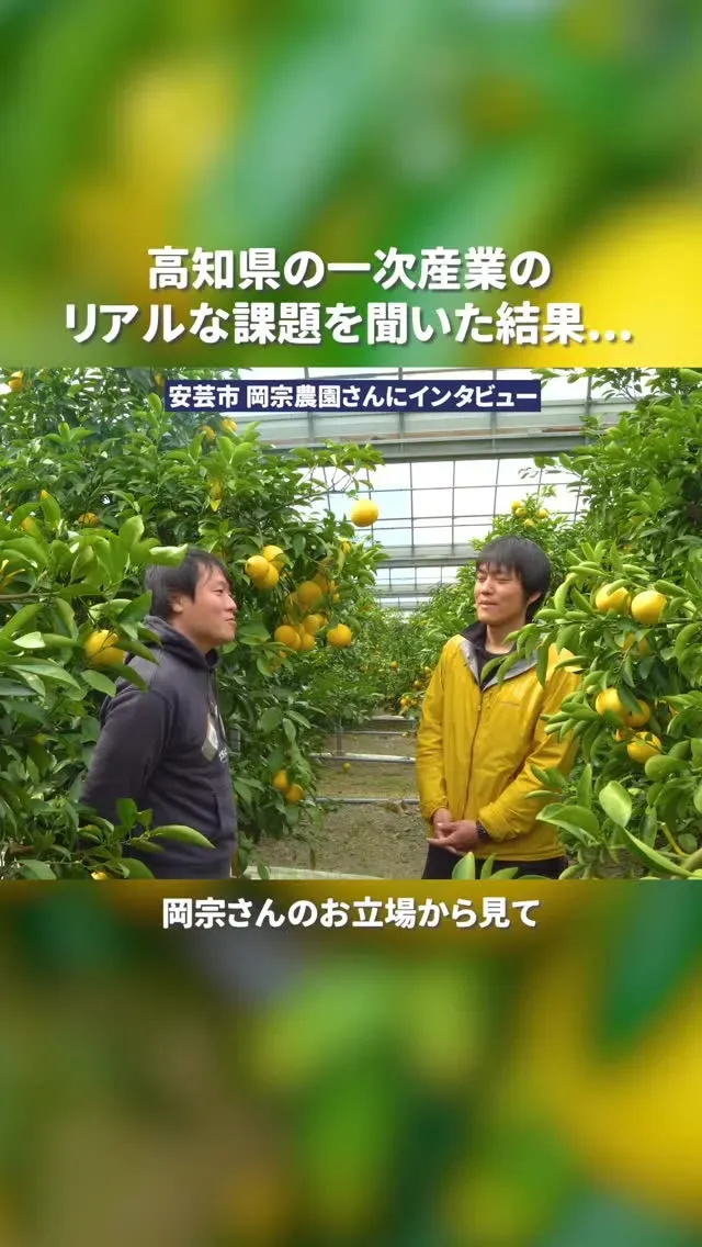 高知カンパーニュブルワリー、岡宗農園の小夏で「こなっちゃんハニーミード」販売開始