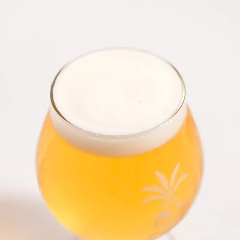 Cycad Brewing Updates Its Tap List with 10 House-Brewed Beers