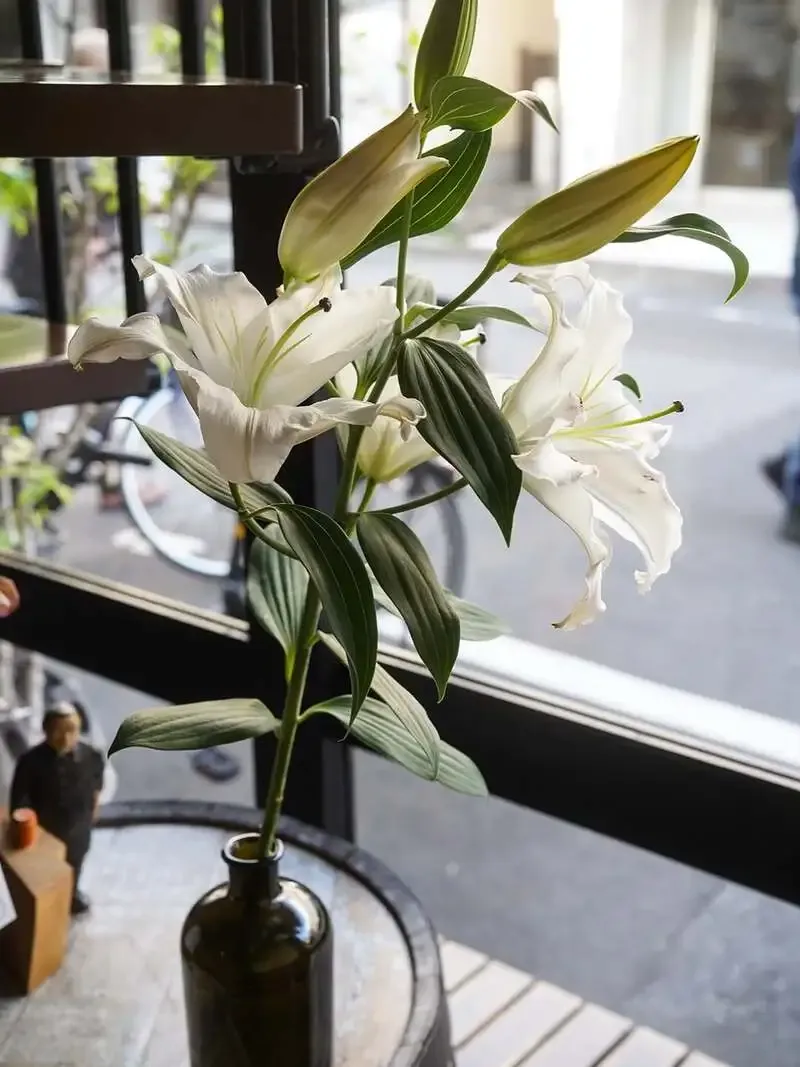 ビアパブイシイで4樽が開栓　忽布古丹醸造、反射炉ビアなどを案内