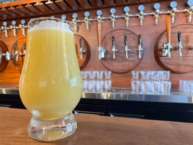 Crazy Stone Brewing Releases an 8.5% DDH Imperial Hazy IPA Layered with Five Hops