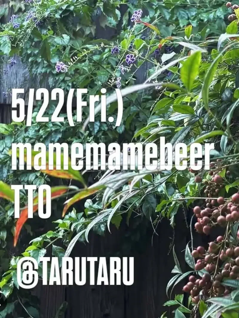 Mame Mame Beer to Pour 5 Taps at TARUTARU in Takamatsu