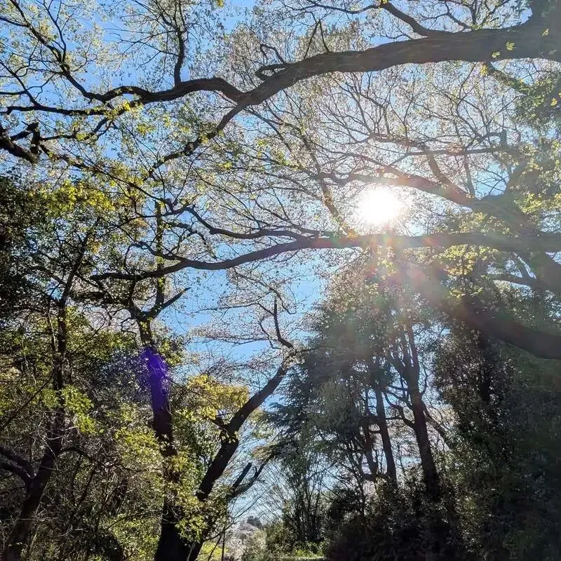 Craftbeer Sloth House、4月のスタンディング営業で7種を案内