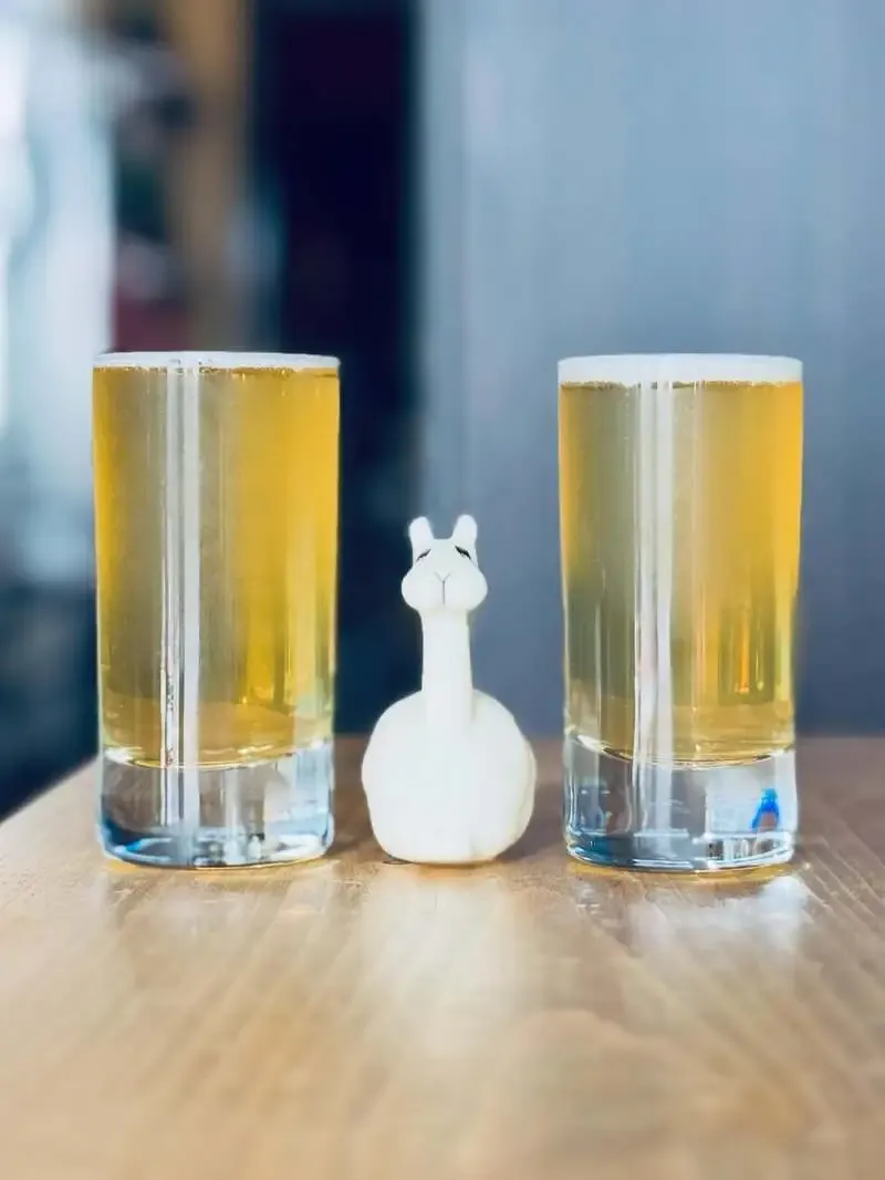 New tap opened at Beer shop Llama, bringing a fresh pour to Mitaka's kaku-uchi scene