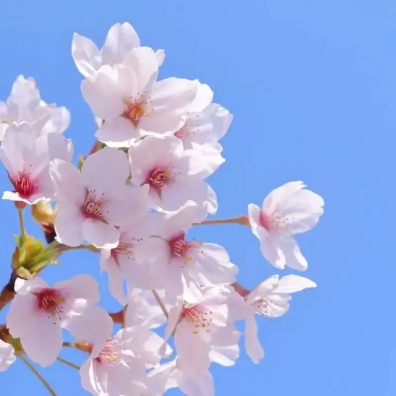 YELLOW APE CRAFT、4月4日更新のタップリストで5本が新規開栓