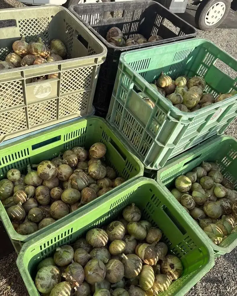 The Beer Shop Hirakata cityで淡路島・ナミノオトブルーイング特集イベント