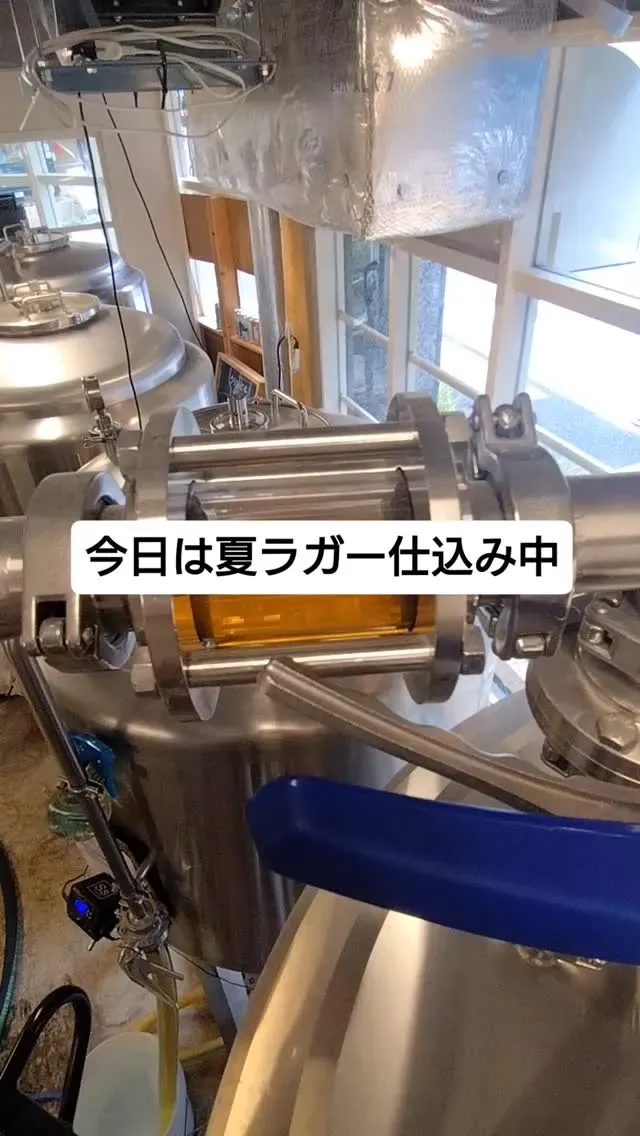 2杯目のビール。が夏向けゴールデンラガーを仕込み、6月中旬リリースへ
