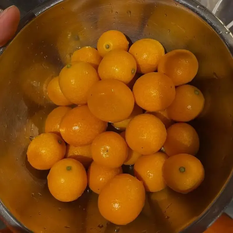 ガハハウス、3月後半にTBLタップテイクオーバー告知