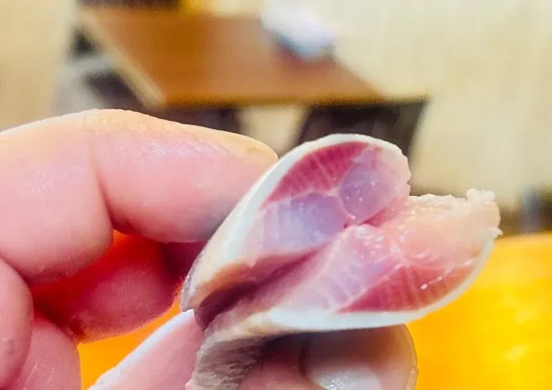 ガハハビール、4/18投稿で大羽イワシを案内　南砂のブリュー居酒屋で春の一皿