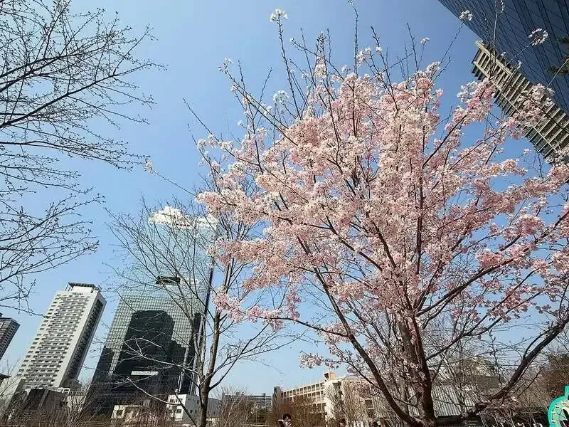 CRAFT BEER BASE leaf、3月28日のタップリスト公開　自社10種とゲスト5種