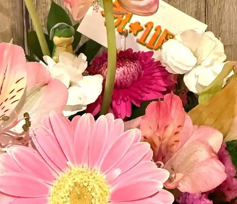 クラフトビアスポット ハトホル、本日の開栓は鬼伝説ビール『鬼角TY』の1樽