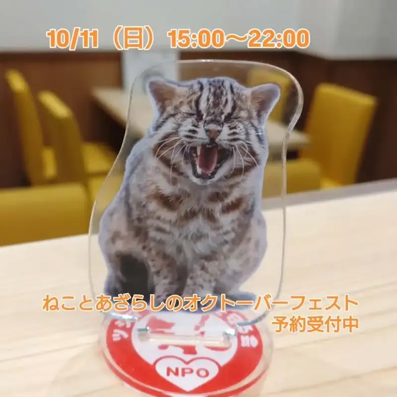 三鷹「Beer Pub ねことあざらし」で10種のクラフトビールが登場