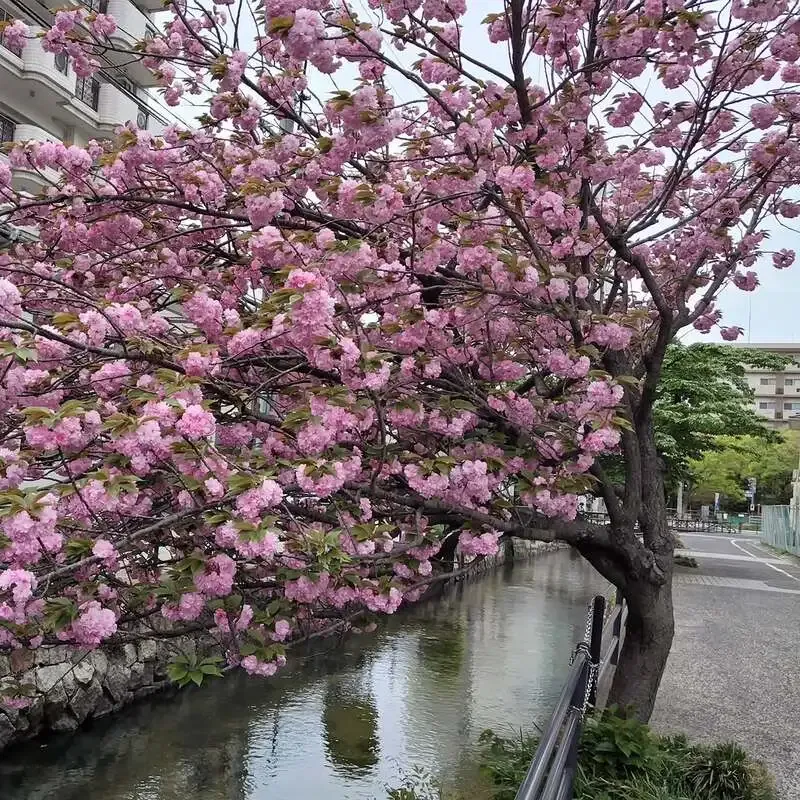 岡山市のCRAFT Rainbowがタップ更新　うしとら、伊勢角屋麦酒など10種