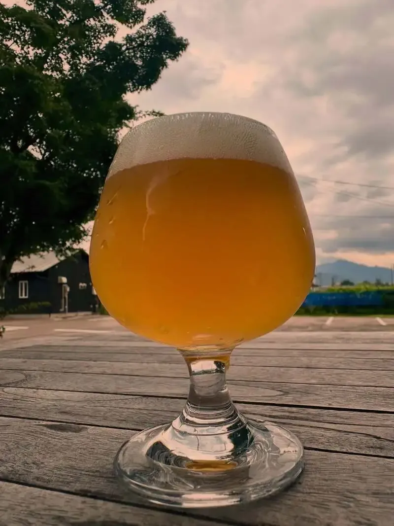 RIOT BEER announces five Miyazaki Hideji beers for Hakko Kaiwai 5