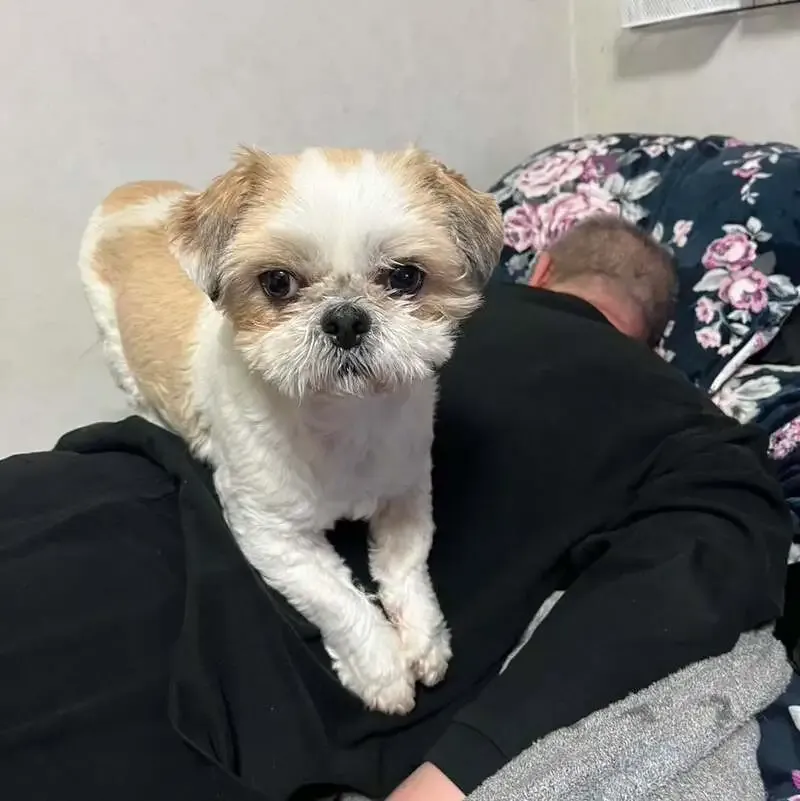 CraftBeer Bar BRONX、4/4のタップリストにT.Y.HarborやBairdなど12種