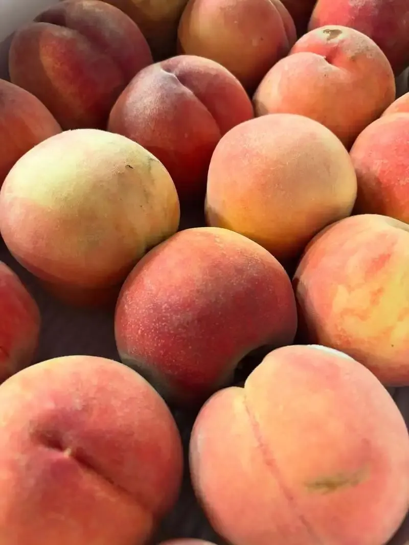 Novel Craft Announces Second Anniversary Beer, “Life is Peachy”